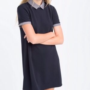 Zara Navy Blue Shift Dress with Stripped Collar